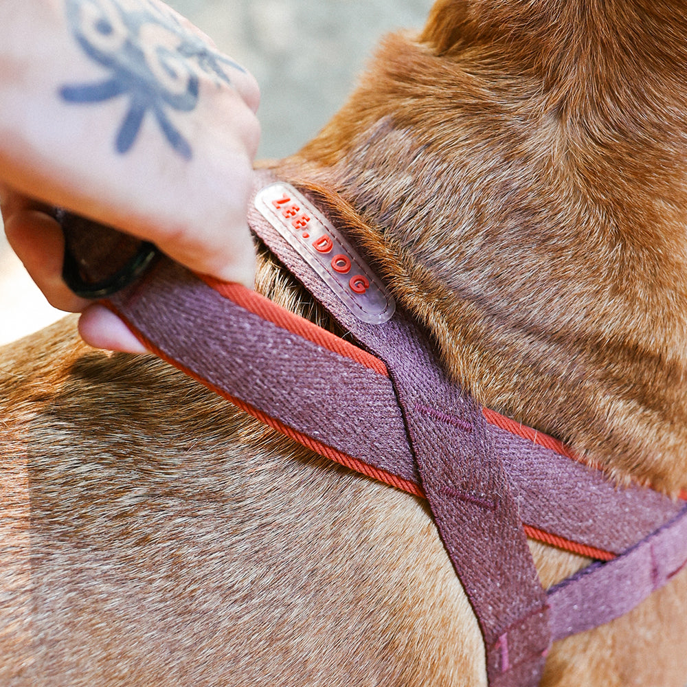 Norwegian Harness Softer-Walk Naturals 2.0 Cocoa