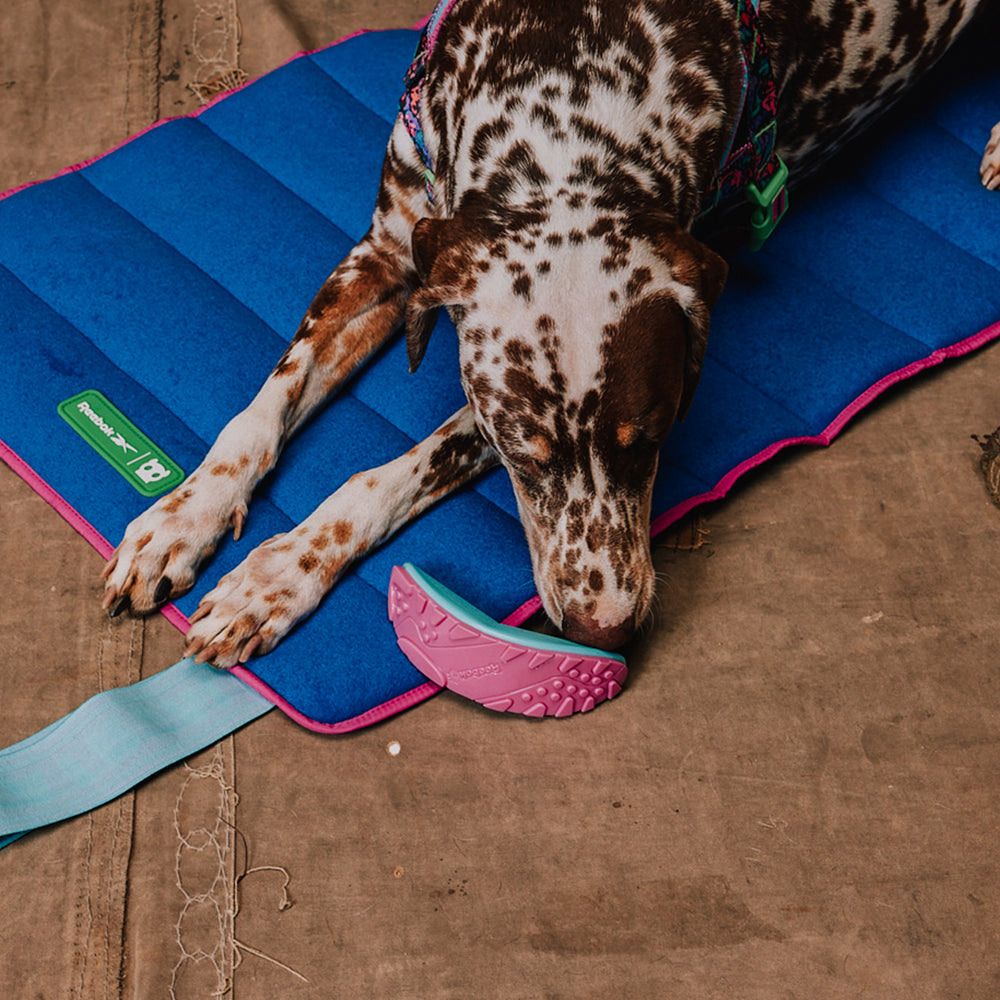 Reebok Aerobic Boomerang Toy