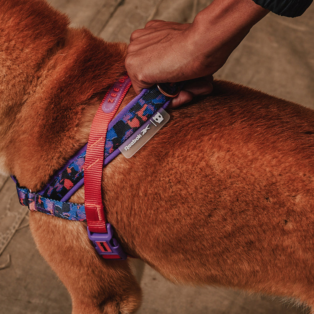 Reebok Court Norwegian Softer-walk Harness