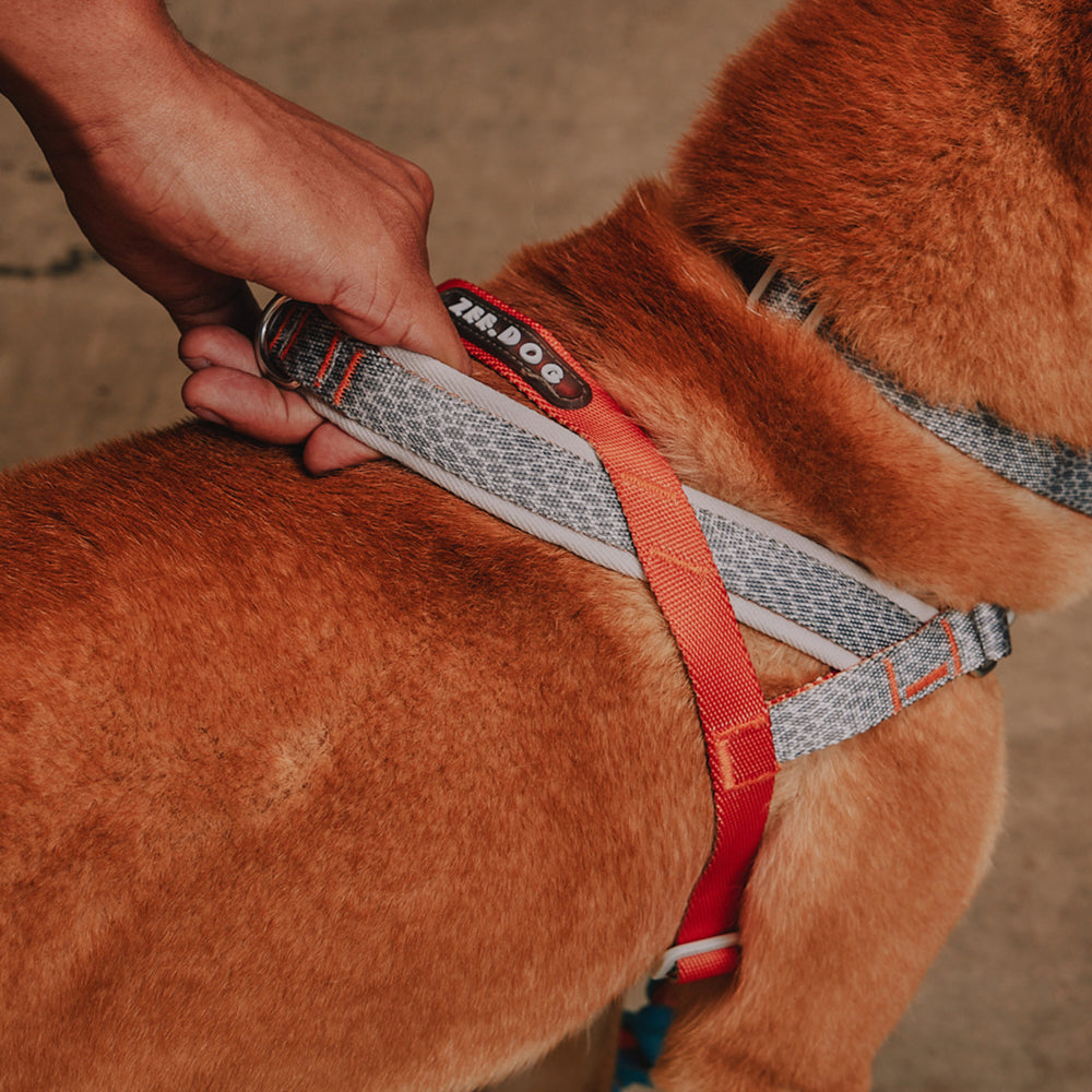 Reebok Suede Norwegian Softer-walk Harness