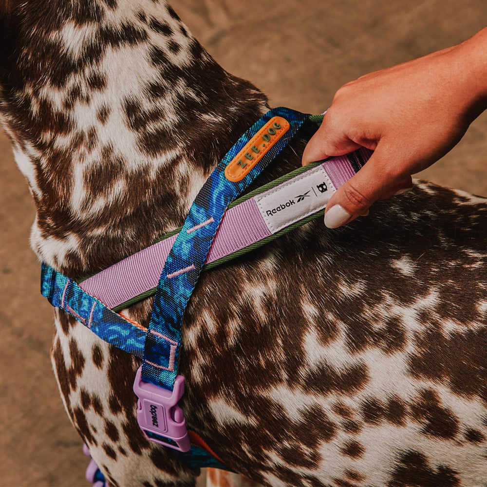 Reebok Trekk Norwegian Softer-walk Harness
