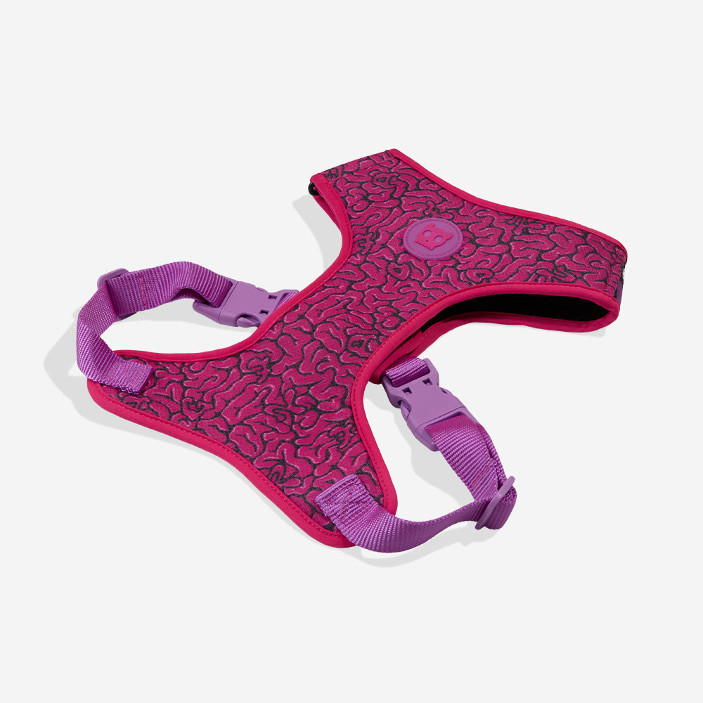 Lords Of Zee.Town Brain Adjustable Mesh Harness