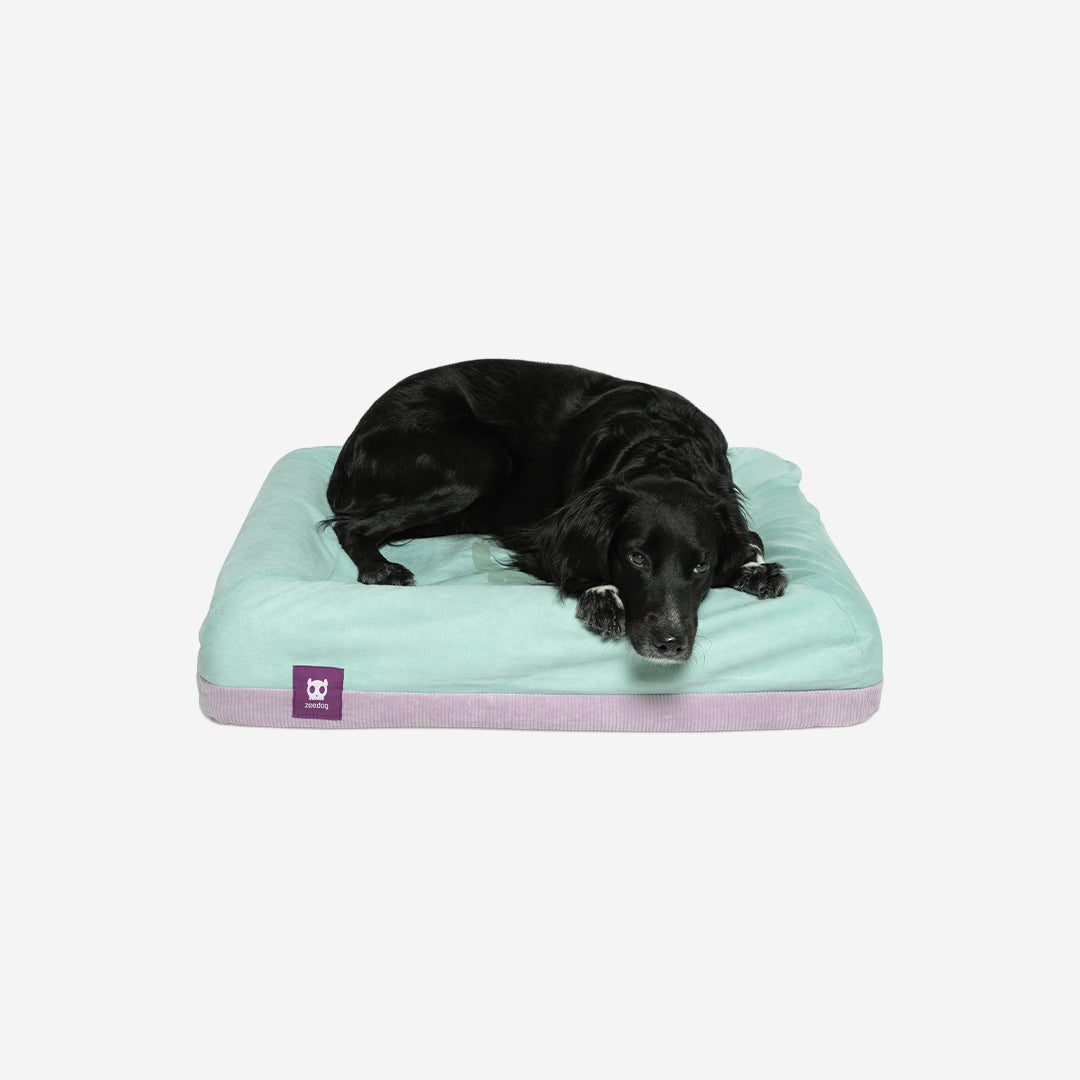 Lotus Kennel Liner