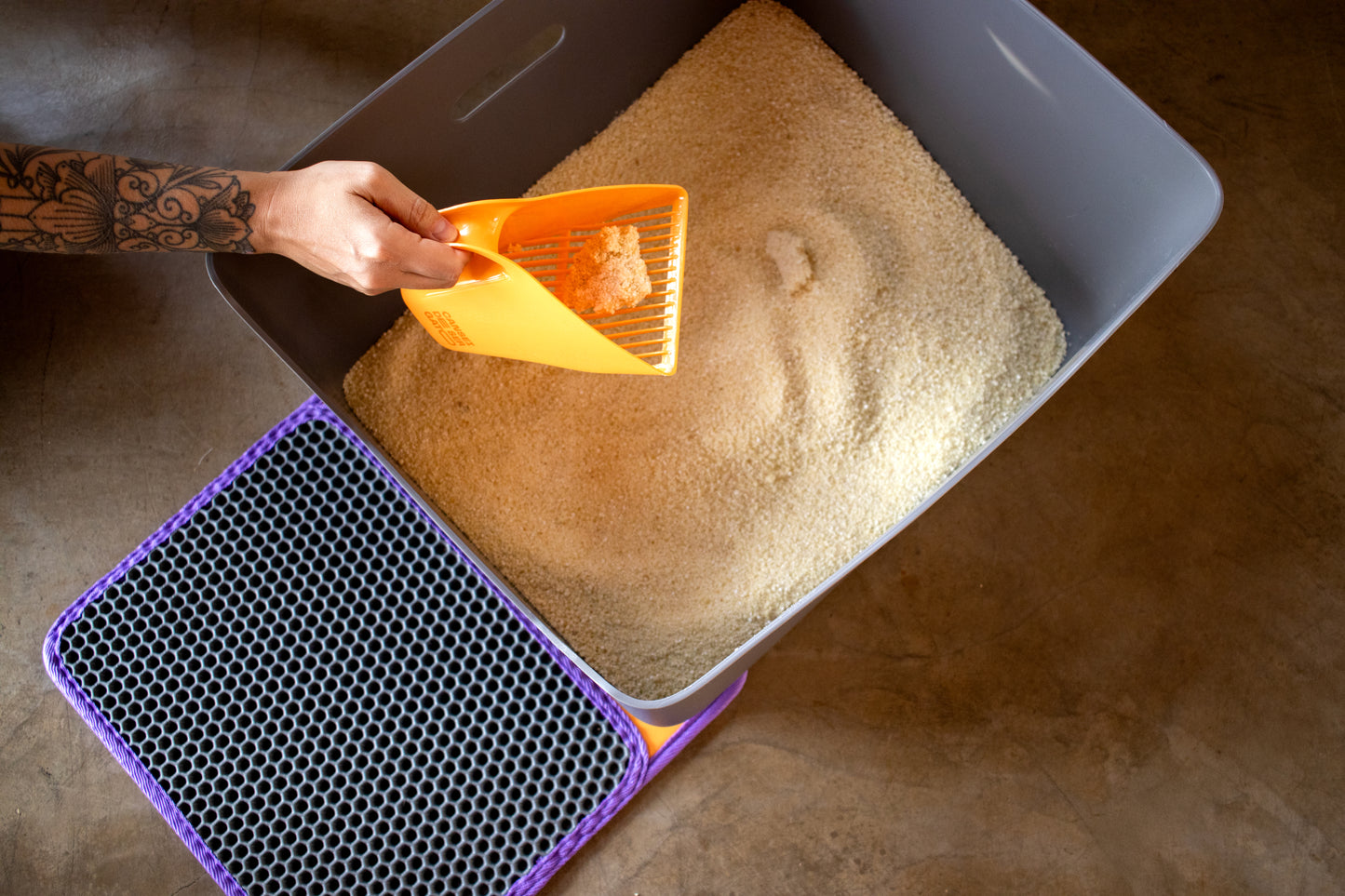 Orange Cat Litter Scoop CDSG