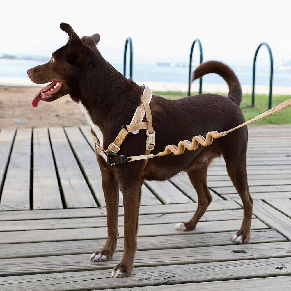 Norwegian Softer-walk Harness Dune