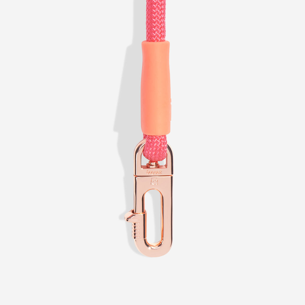 Gazelle Hands Free Leash