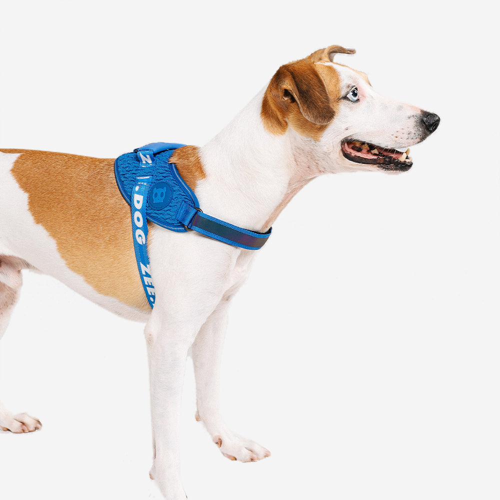 Harness with handle - Flyharness Slam Dunk