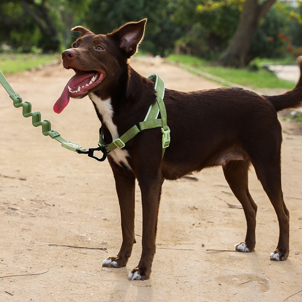 Norwegian Softer-walk Harness Moss