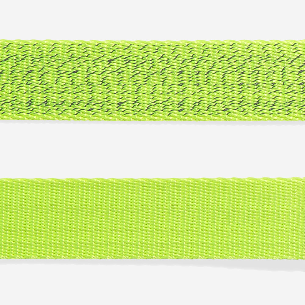 Nox Lumen Cat Harness and Leash Set