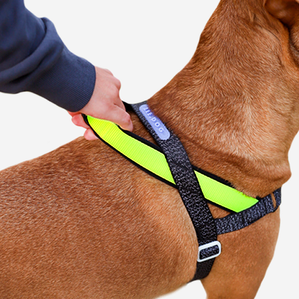 Norwegian Softer-walk Harness Nox - with reflective details