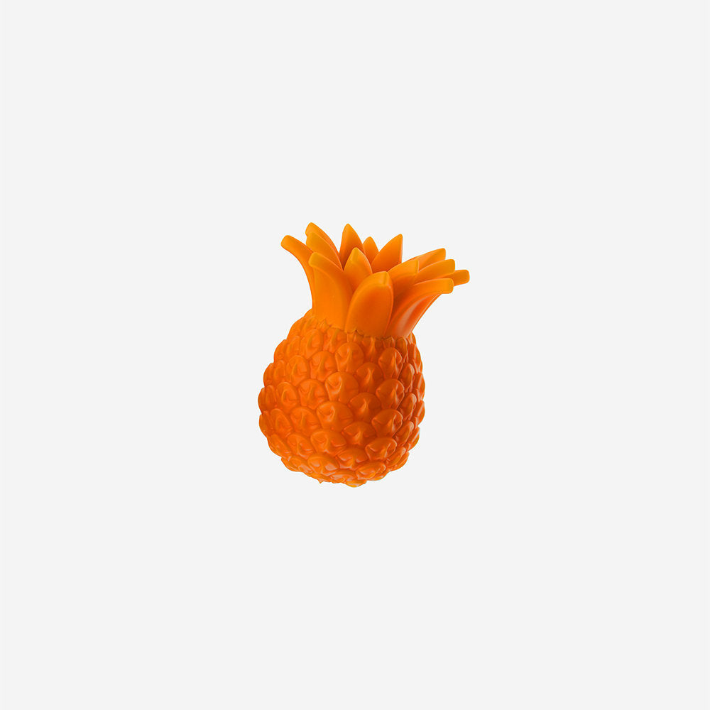 Zee.Pinz Ananas