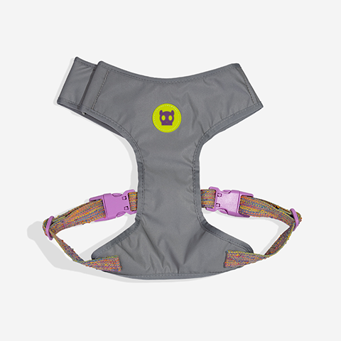 Fuse UFO Adjustable Mesh Harness