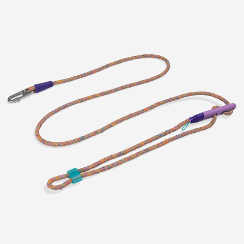 Hands-Free Leash Fuse Ufo