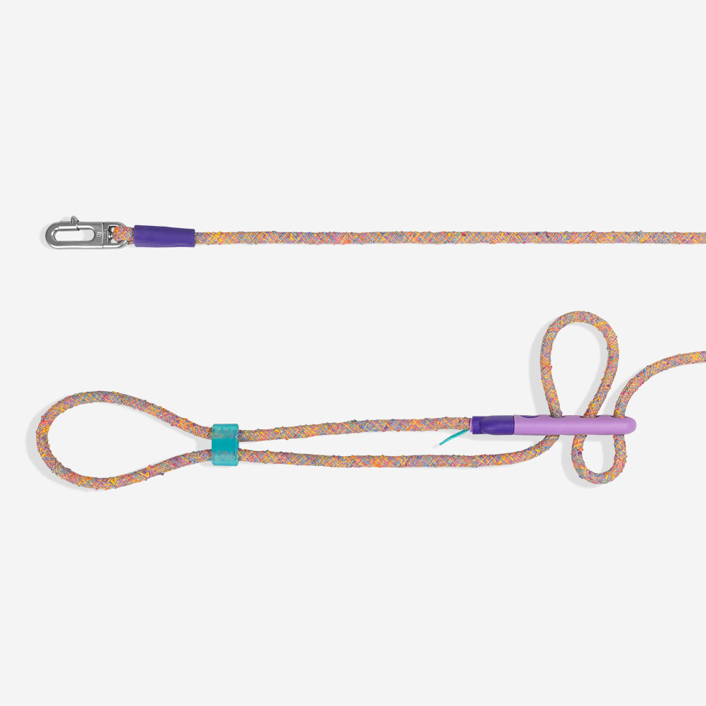 Hands-Free Leash Fuse Ufo