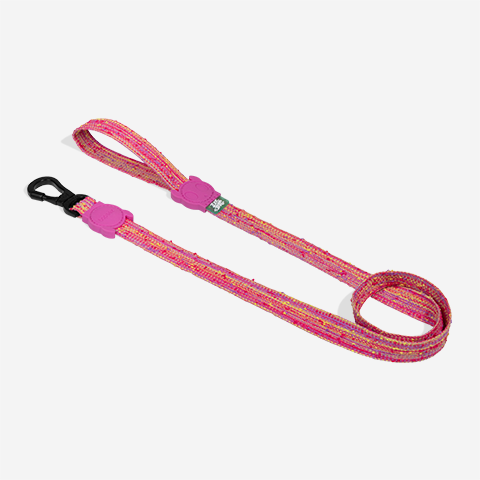 Leash Fuse Chop