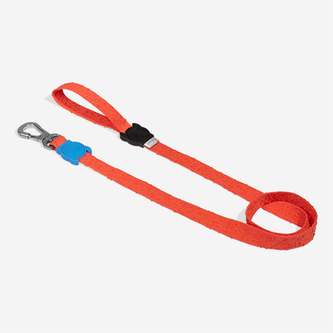 Fuse Grid Leash