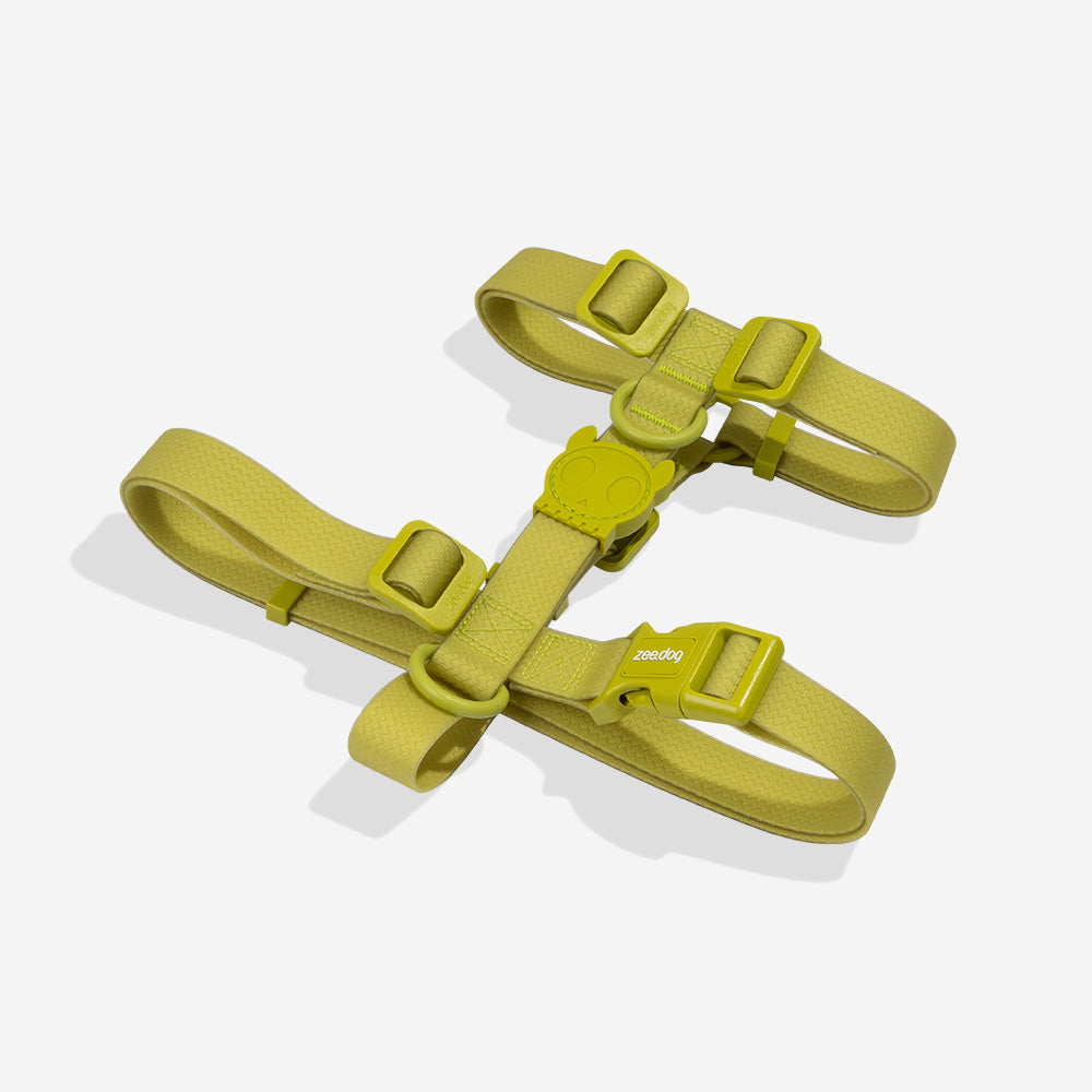 NeoPro Matcha H-Harness