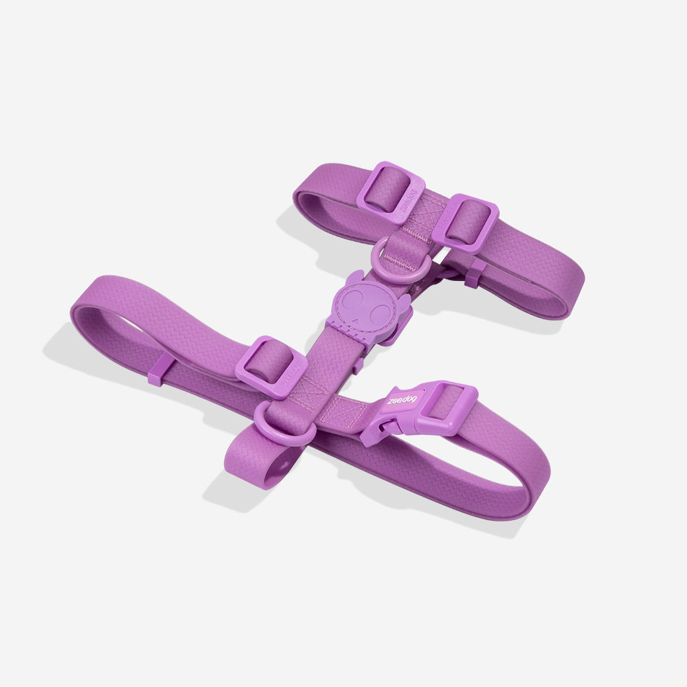 NeoPro Ultra Violet H-Harness