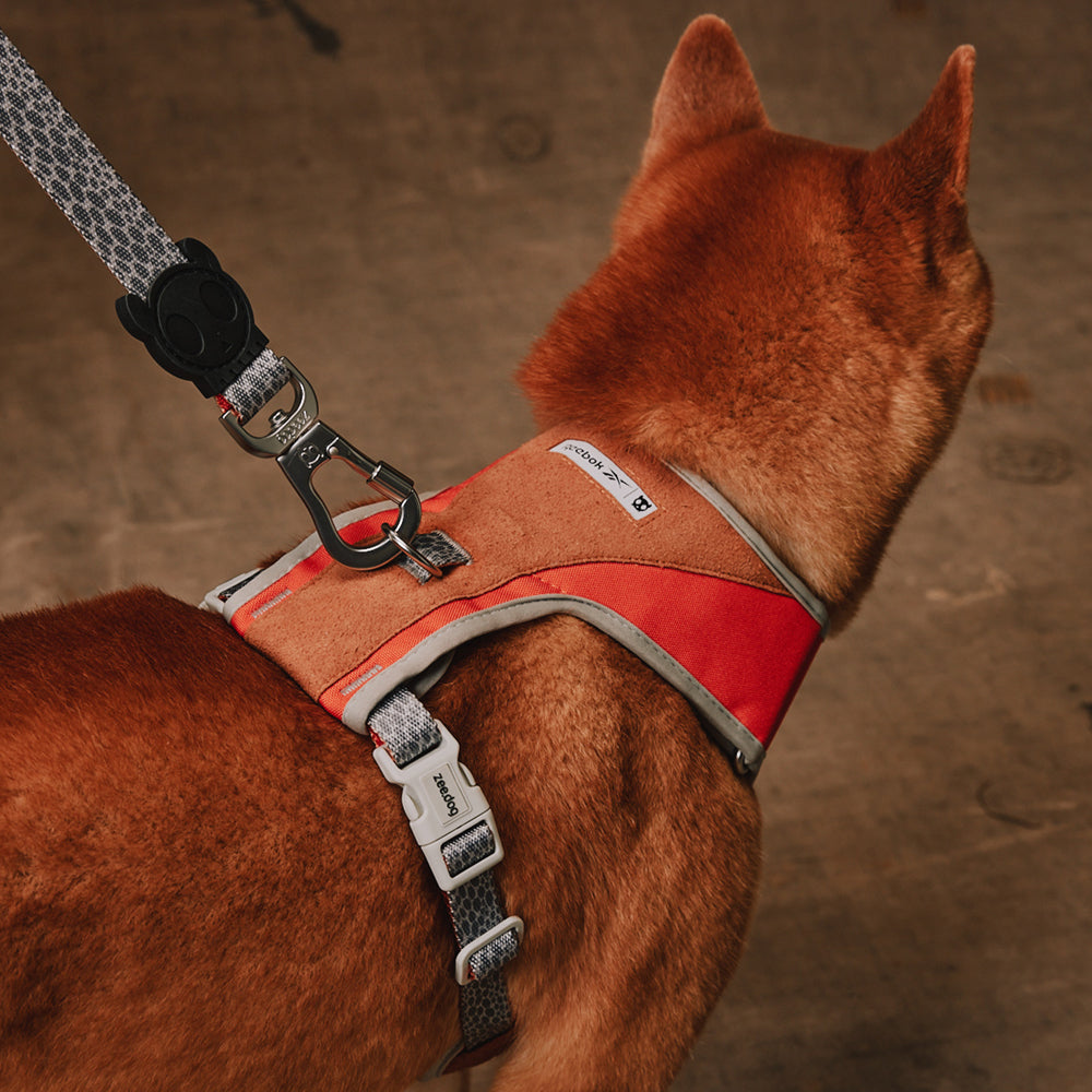 Reebok Suede Adjustable Mesh Harness