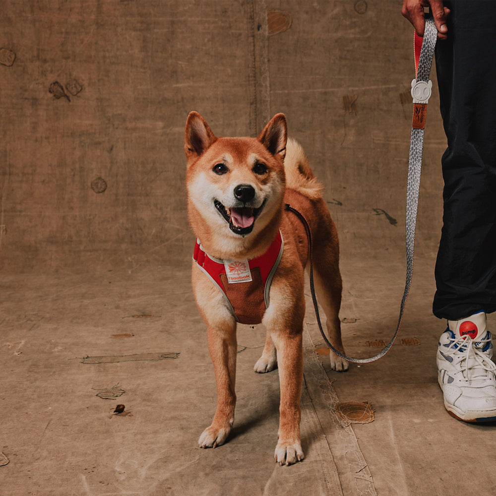 Reebok Suede Adjustable Mesh Harness