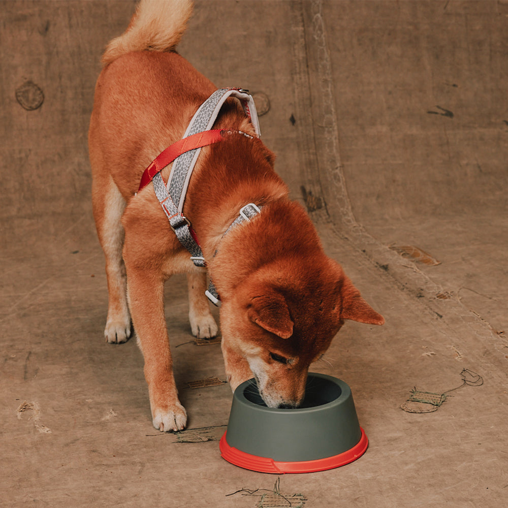 Reebok Suede Melamine Bowl