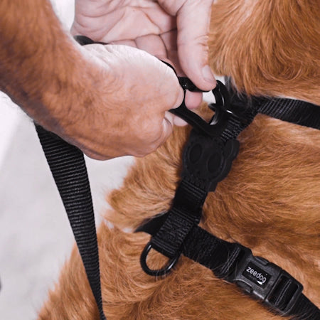 Reebok Suede H-Harness