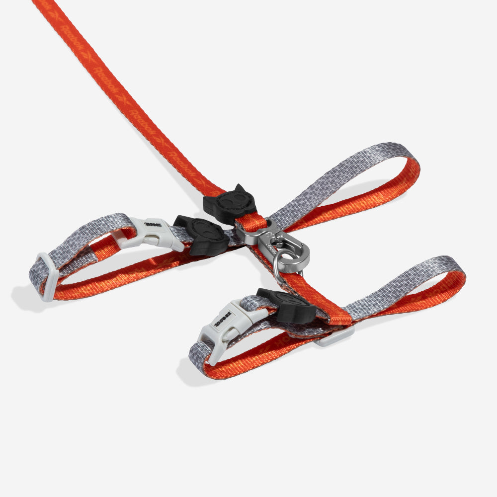 Reebok Suede cat harness and leash set