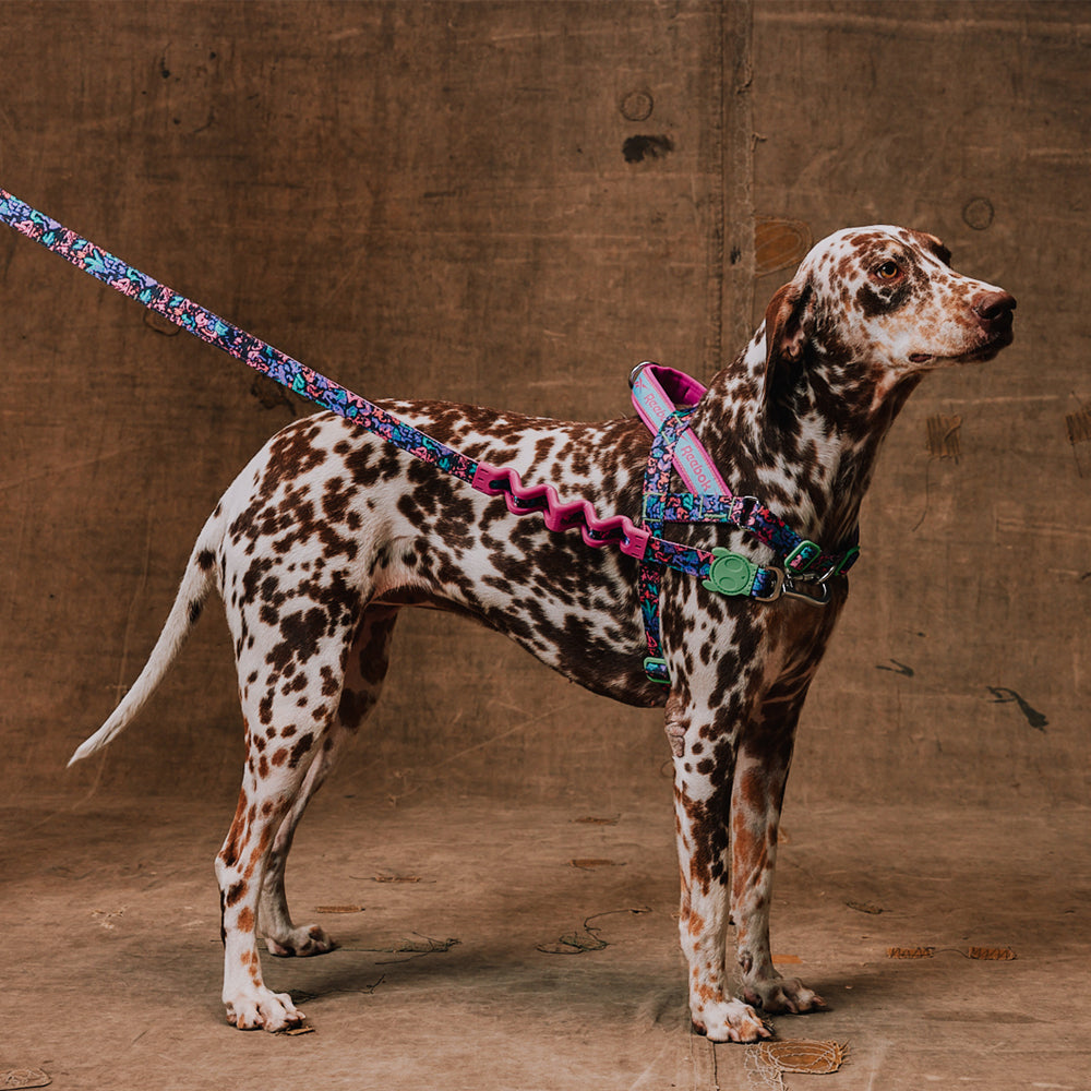 Reebok Aerobic Norwegian Softer-walk Harness 