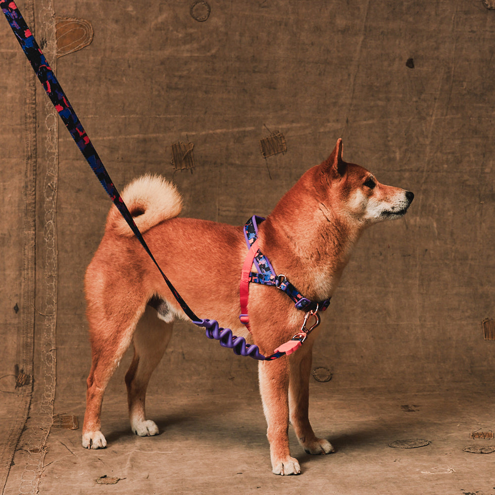 Reebok Court Norwegian Softer-walk Harness 