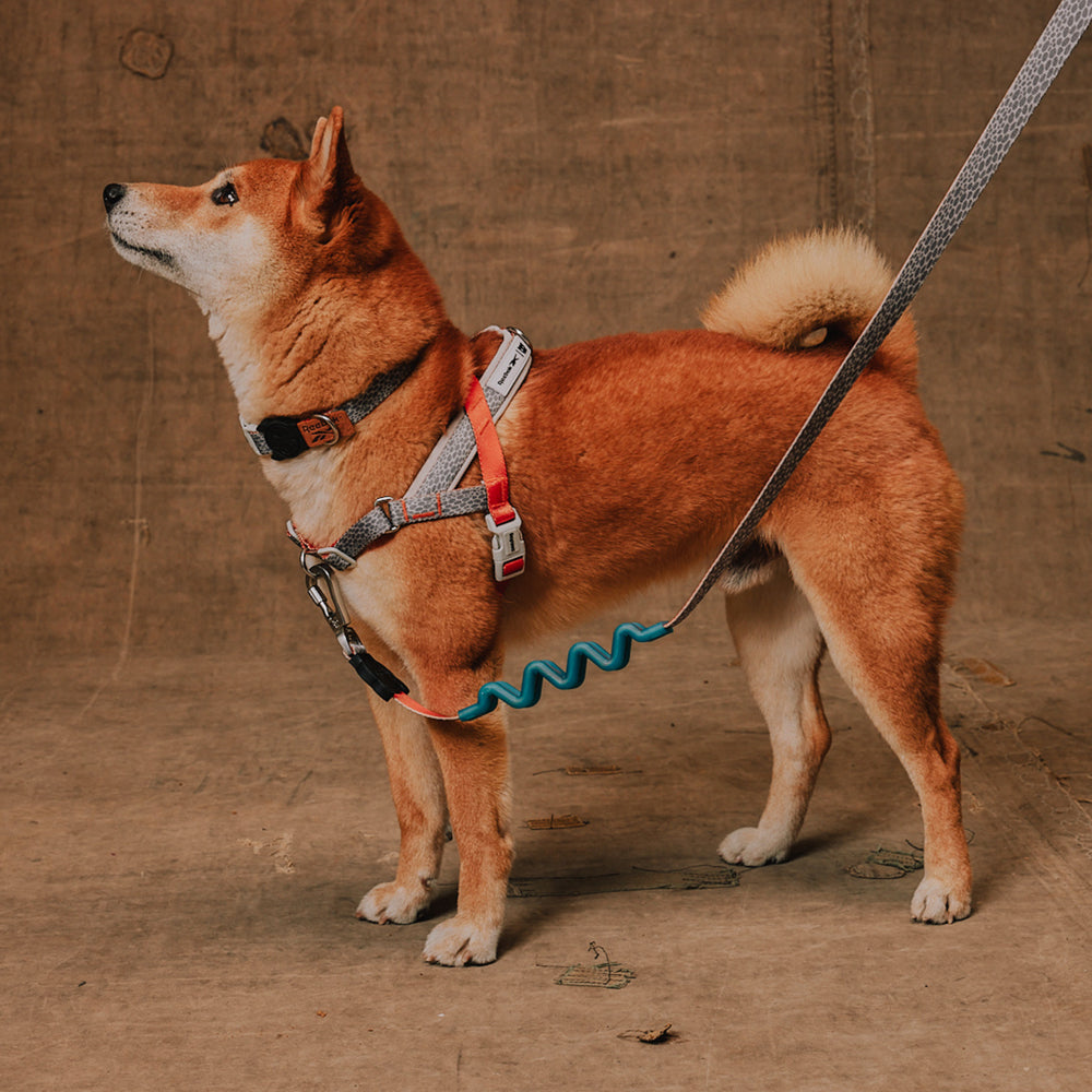 Reebok Suede Norwegian Softer-walk Harness 