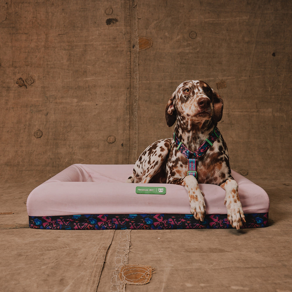 Reebok Aerobic Zee.Bed Dog Bed