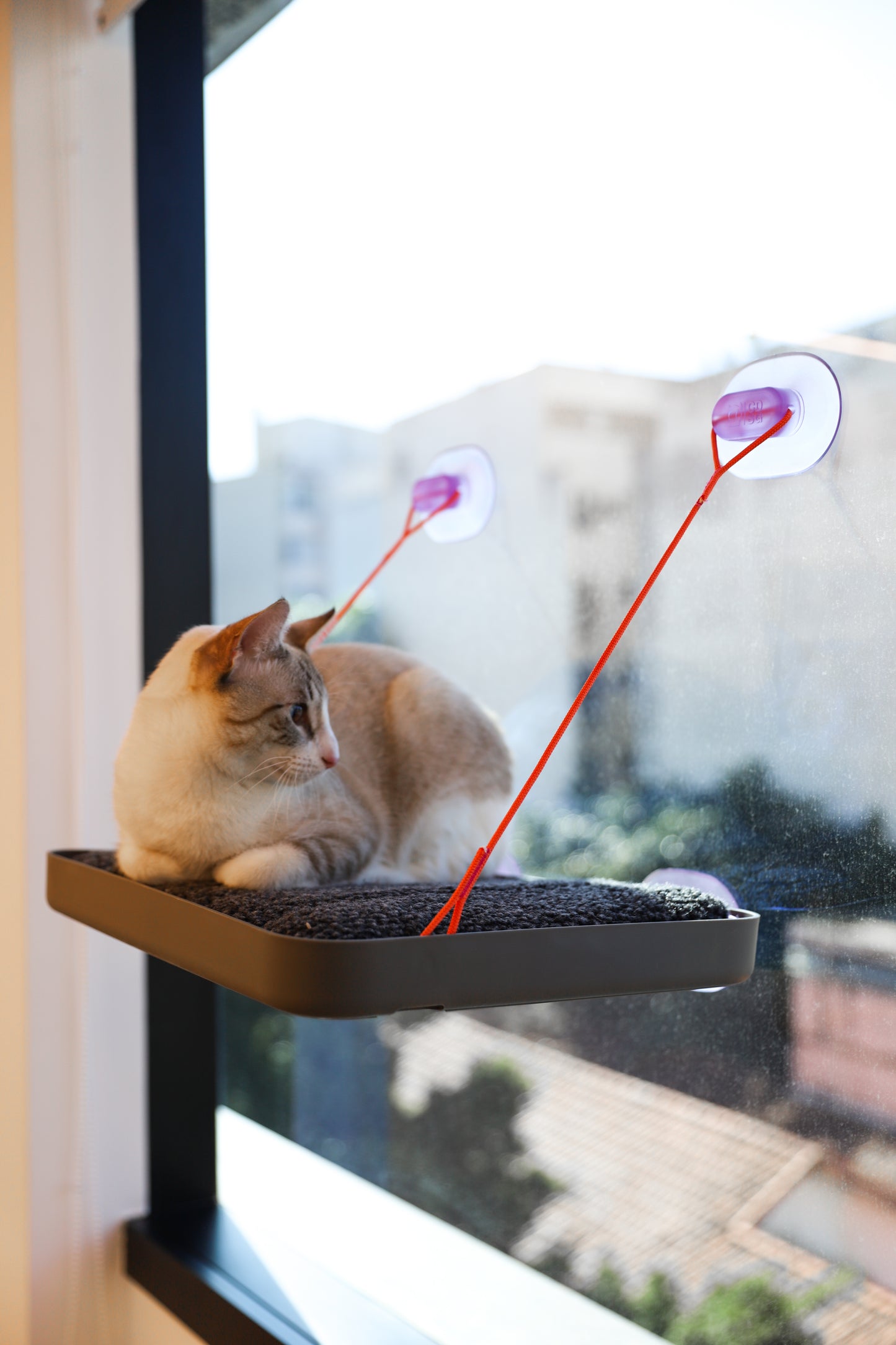 Cat bed Sky.bed CDSG