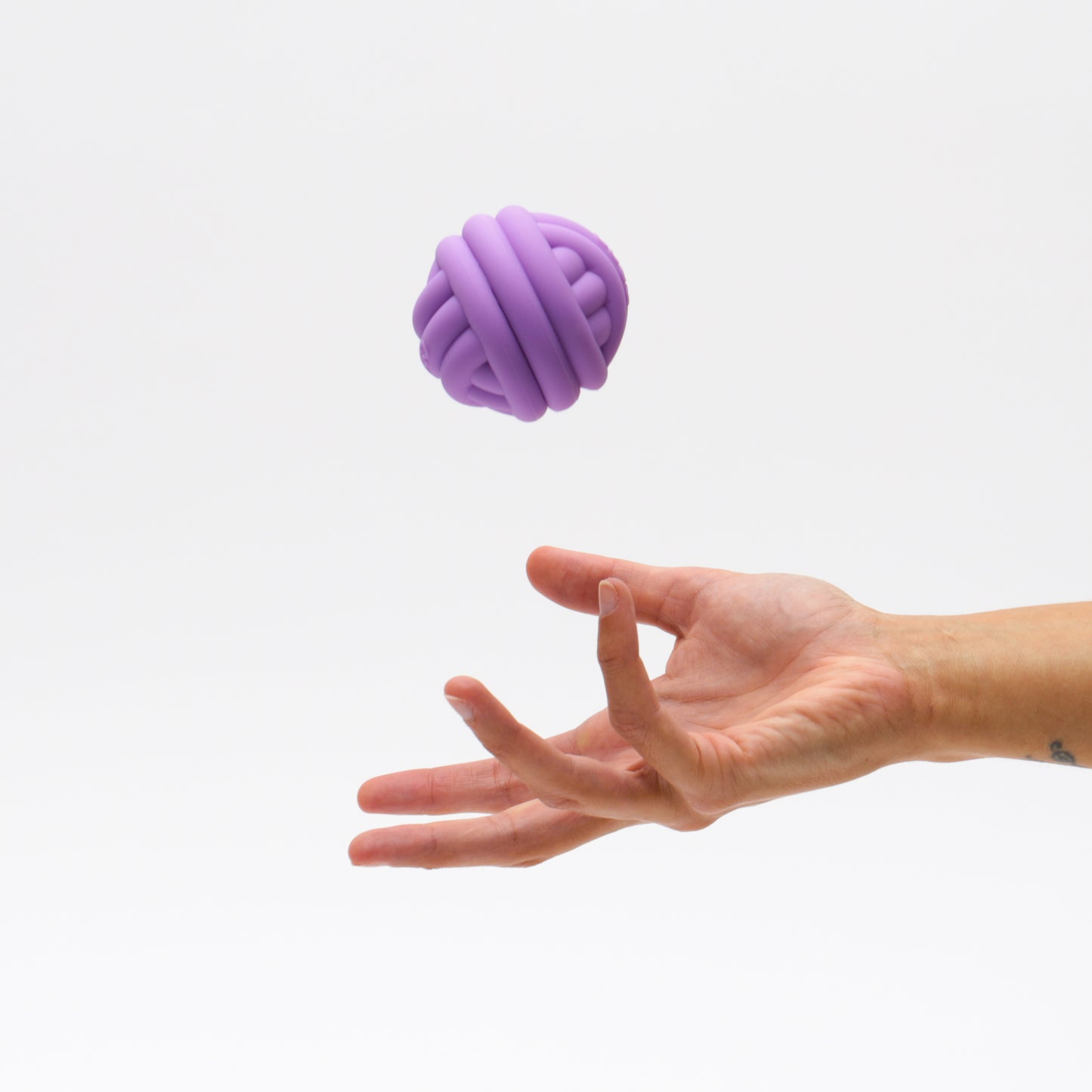 Snack Holder Ball CDSG