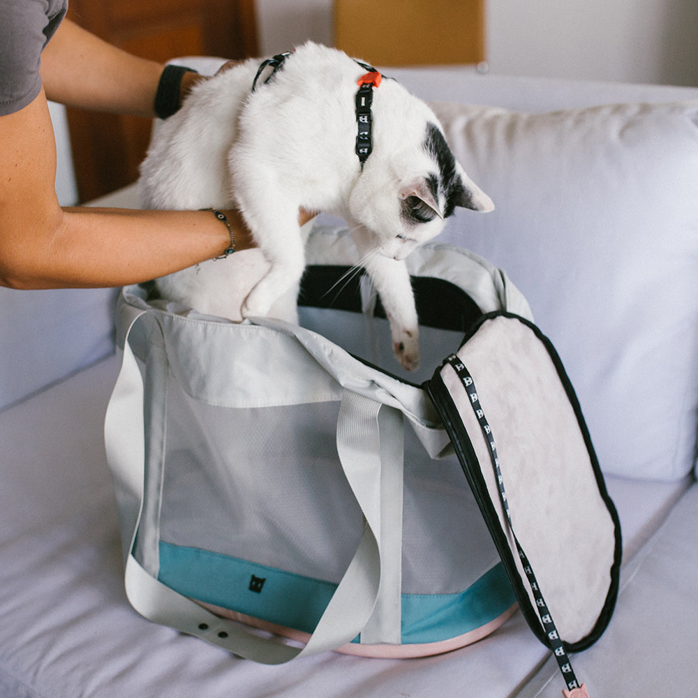 Kombucha Carrier