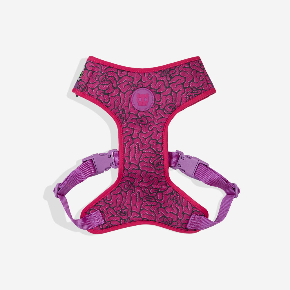 Lords Of Zee.Town Brain Adjustable Mesh Harness