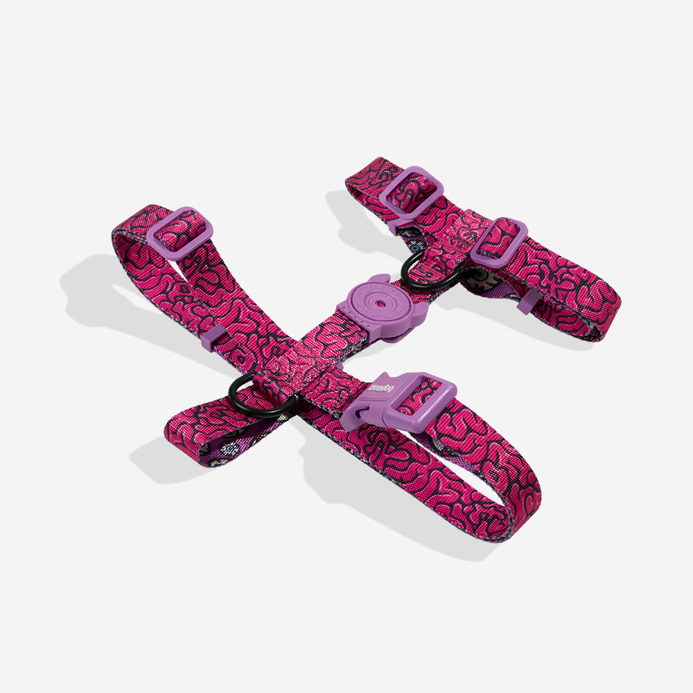 H-shaped harness Lords Of Zee.Town Brain
