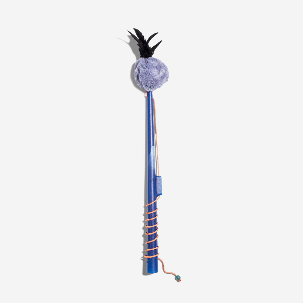 Jupiter Fishing Rod