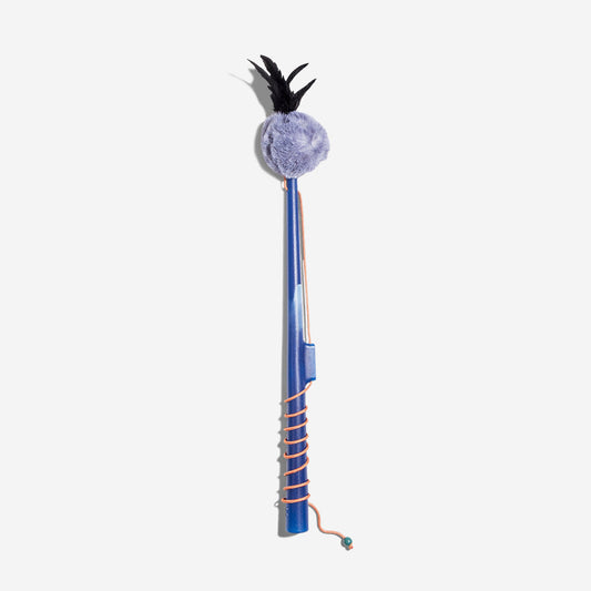 Jupiter Fishing Rod