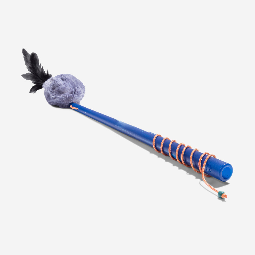 Jupiter Fishing Rod