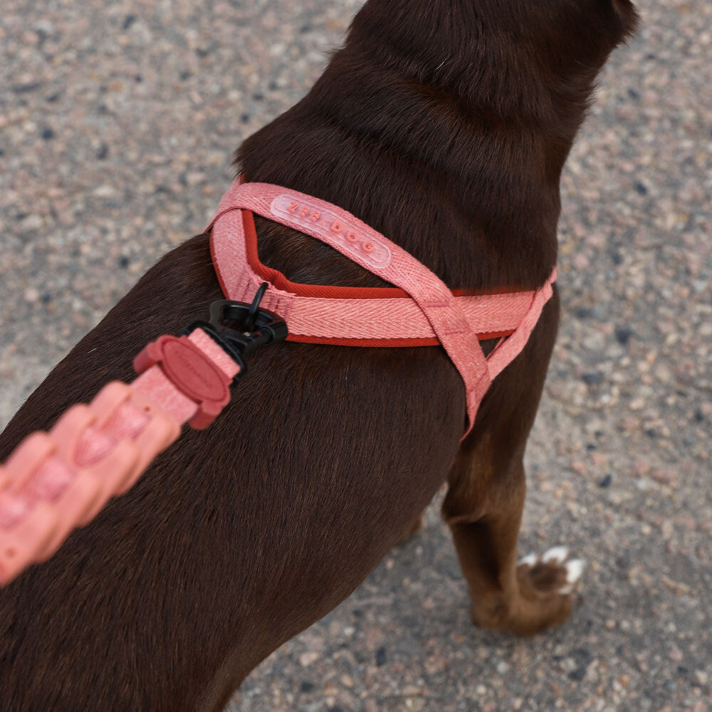 Norwegian Softer-walk Harness Canyon