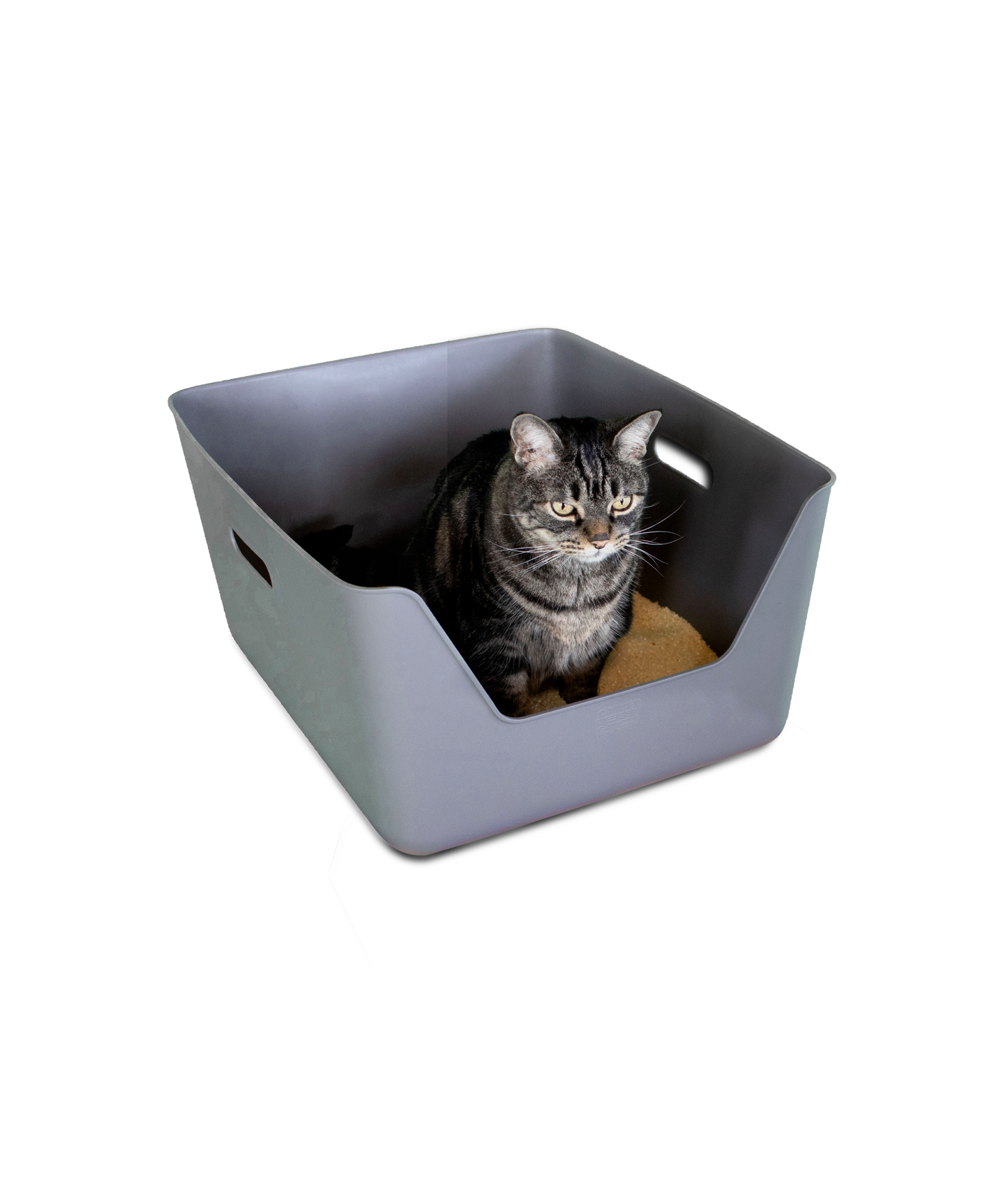 Gray Cat Litter CDSG
