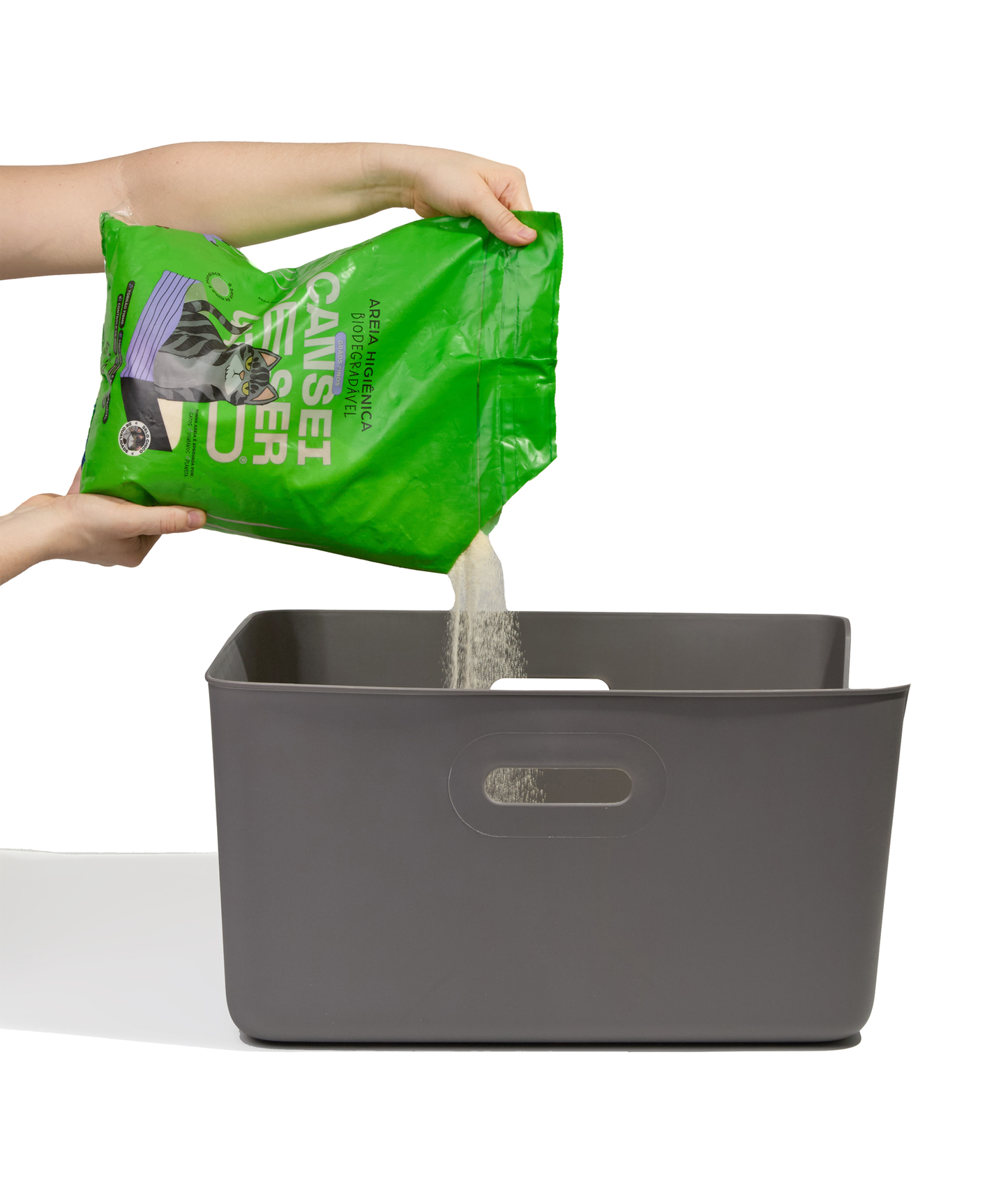 Gray Cat Litter CDSG