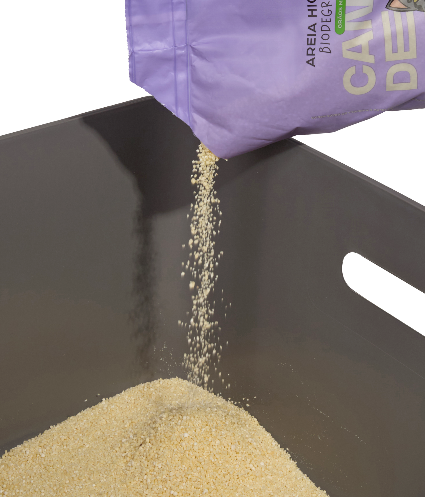 Gray Cat Litter CDSG