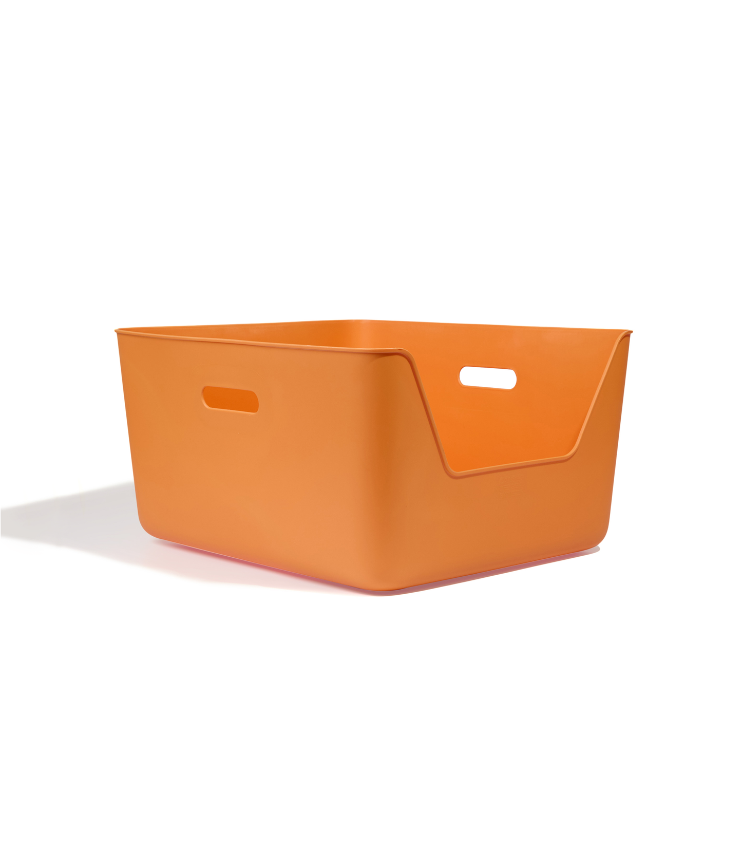 Orange Cat Litter CDSG