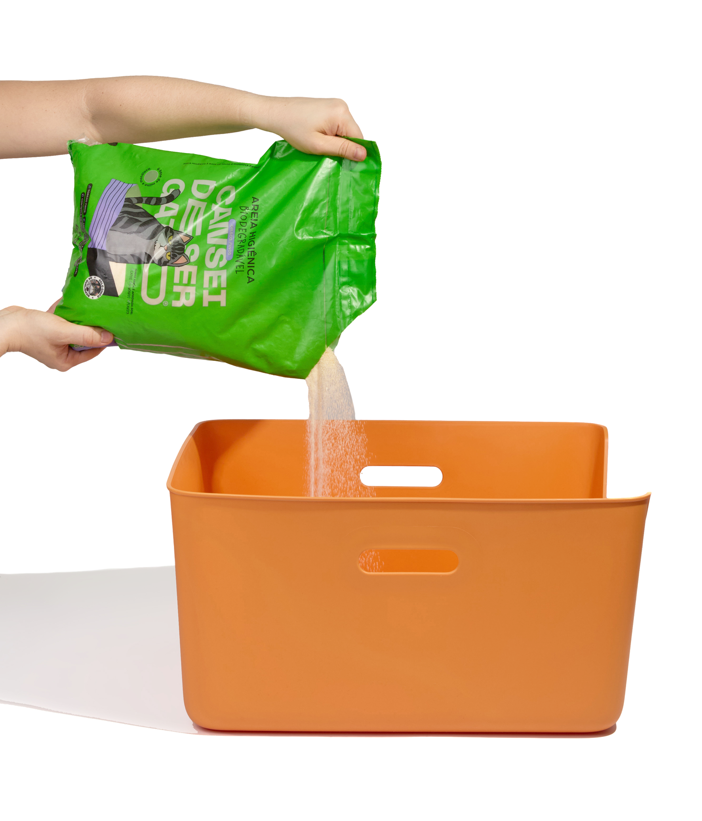 Orange Cat Litter CDSG