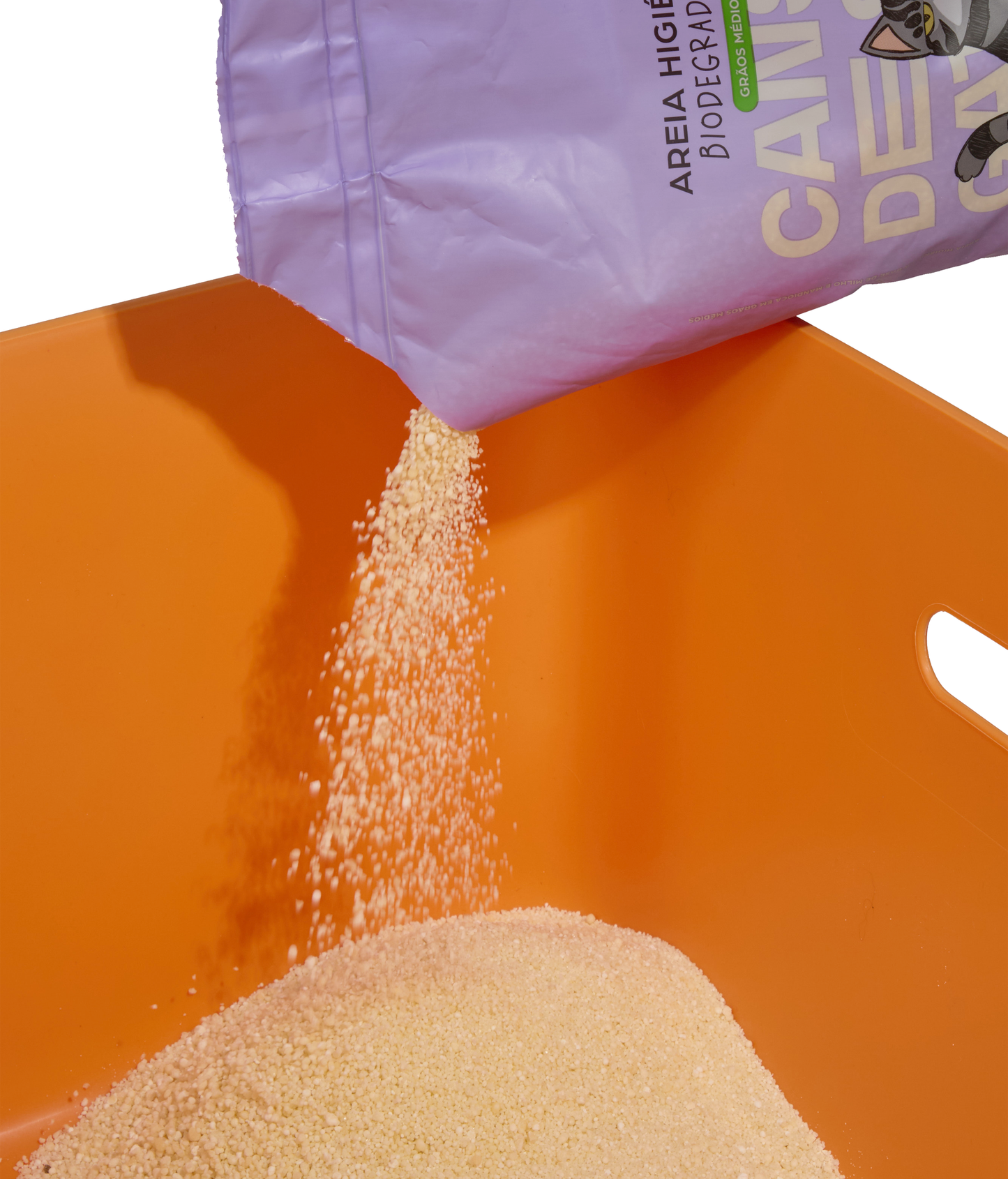 Orange Cat Litter CDSG