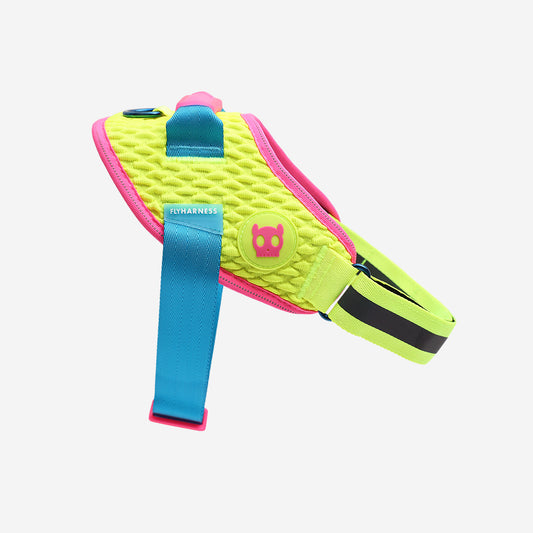 Harness with handle - Flyharness Cmyk