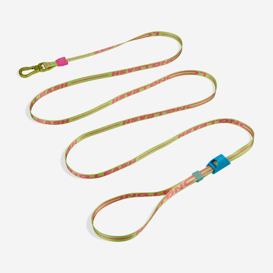 Extendable Leash Long Leash Cmyk