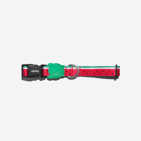 Lola Collar
