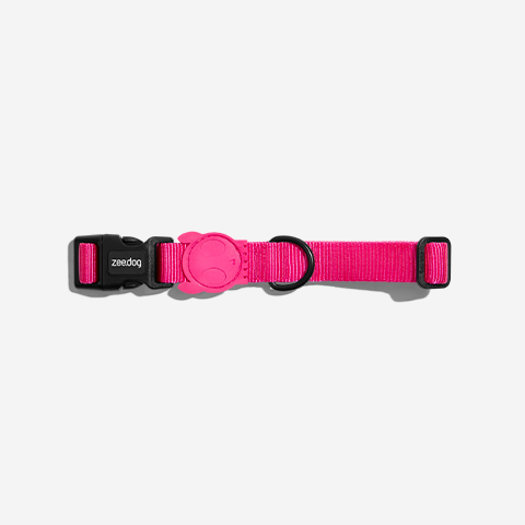 Pink Led Collar